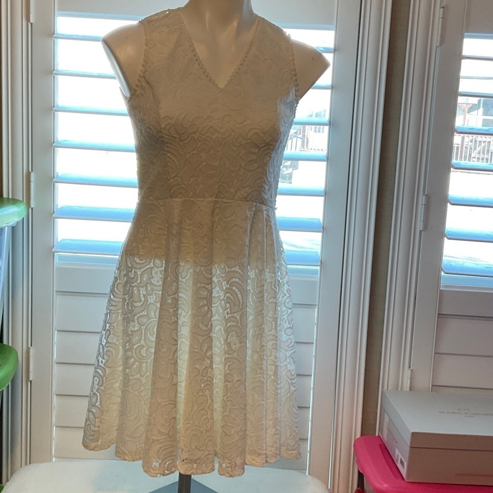 Francesca's Collections Ivory Lace Mini Dress